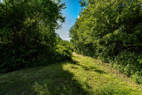 On the Millstone Trail towards the Dead Horse Bay off the Barren Island and Floyd Bennett Field. Brooklyn