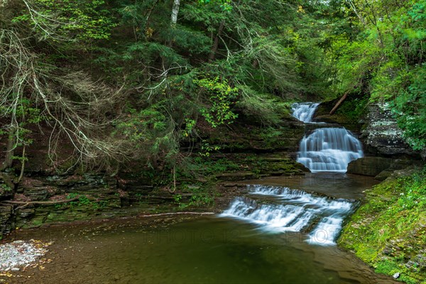 Robert H. Treman State Park: Enfield Falls. Tompkins County