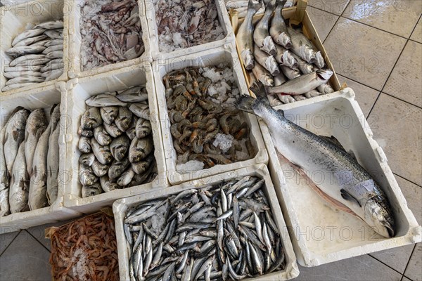 Kusadasi fish market