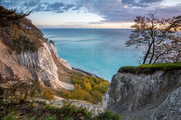 Moens Klint chalk cliff