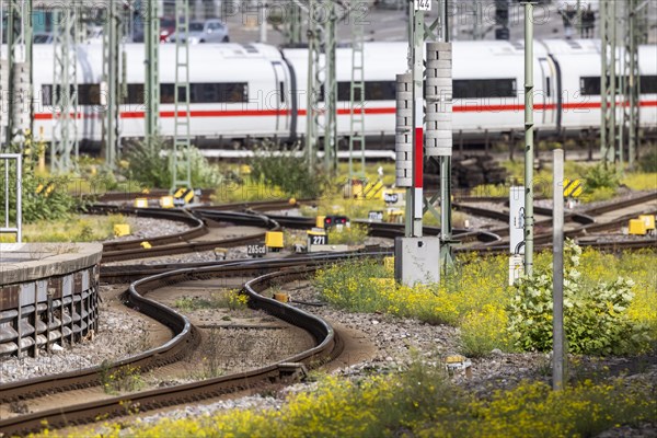 Track apron with rails and switches