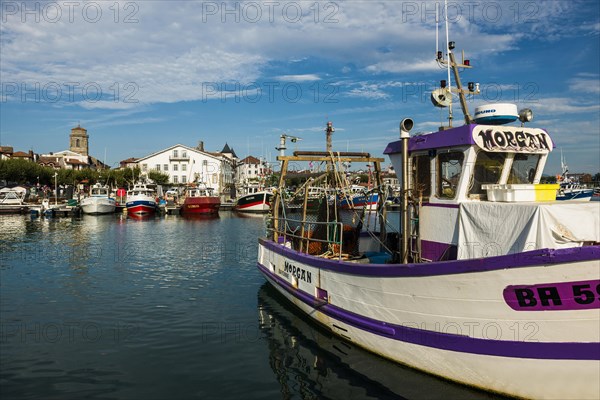 Fishing boats in the harbour