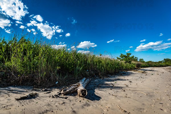 On the Millstone Trail towards the Dead Horse Bay off the Barren Island and Floyd Bennett Field. Brooklyn