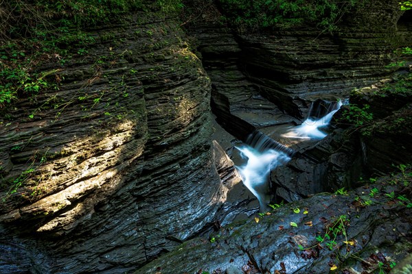 Watkins Glen State Park: Gorge Trail