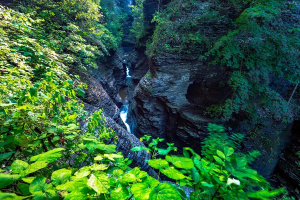 Watkins Glen State Park: Gorge Trail