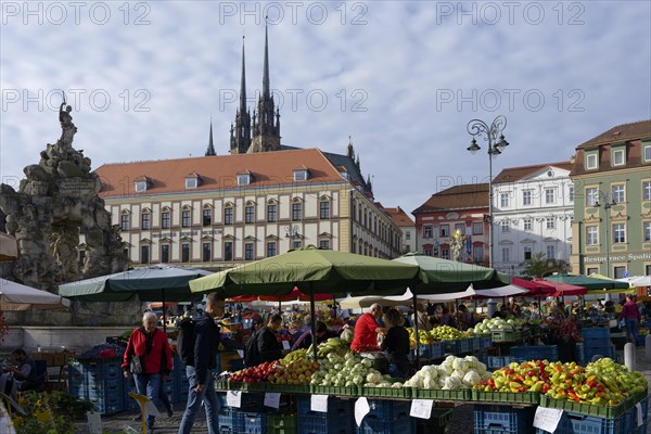 Kohlmarkt