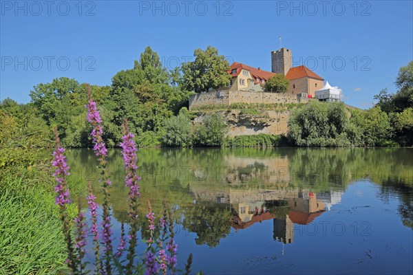 View over the Neckar to Grafenburg