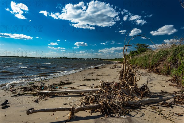 The Barren Island shore on the side of the Dead Horse Bay