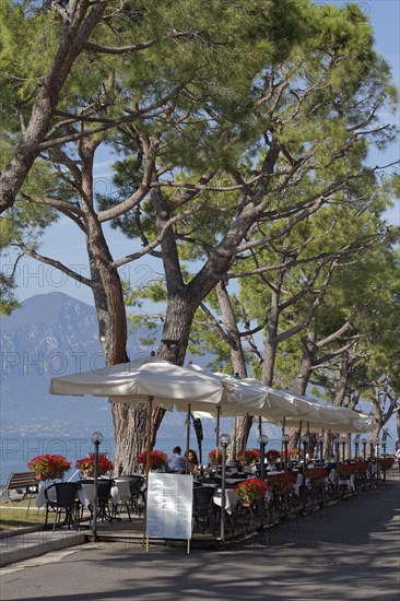 Restaurant terrace under pine trees on the lakeshore