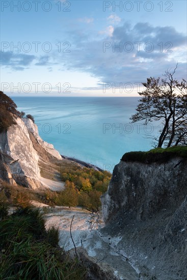 Moens Klint chalk cliff