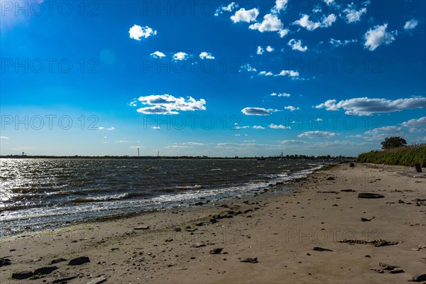 On the Millstone Trail towards the Dead Horse Bay off the Barren Island and Floyd Bennett Field. Brooklyn