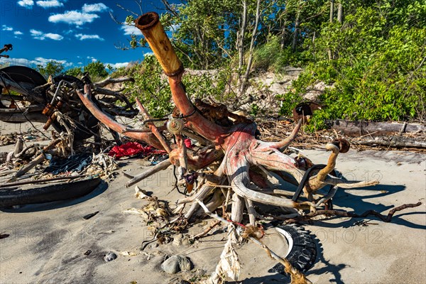 The Barren Island shore on the side of the Dead Horse Bay