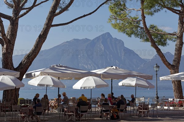 Restaurant terrace under pine trees on the lakeshore