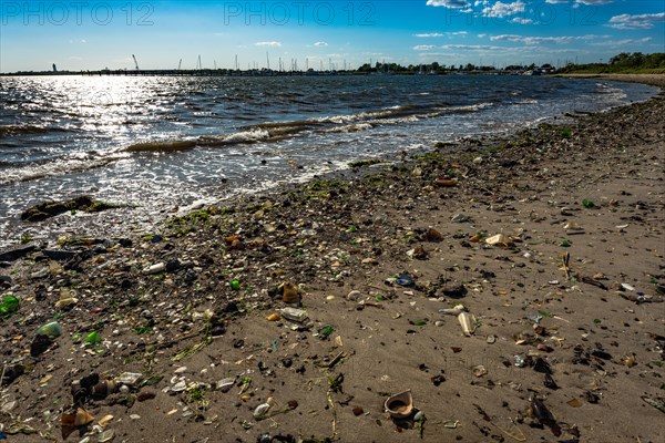 The Barren Island shore on the side of the Dead Horse Bay