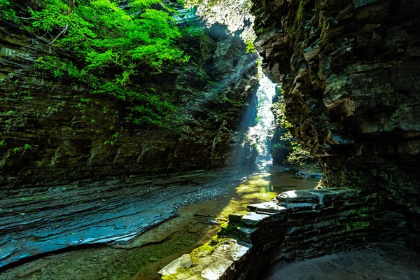 Watkins Glen State Park: Gorge Trail