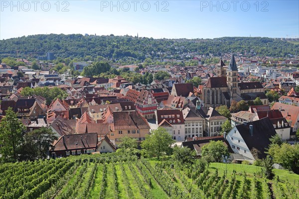 Townscape with town hall and Gothic town church St. Dionys