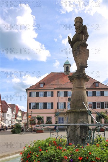 Market square with fountain and town hall