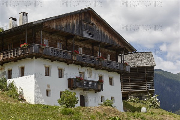 Farm in Nostra