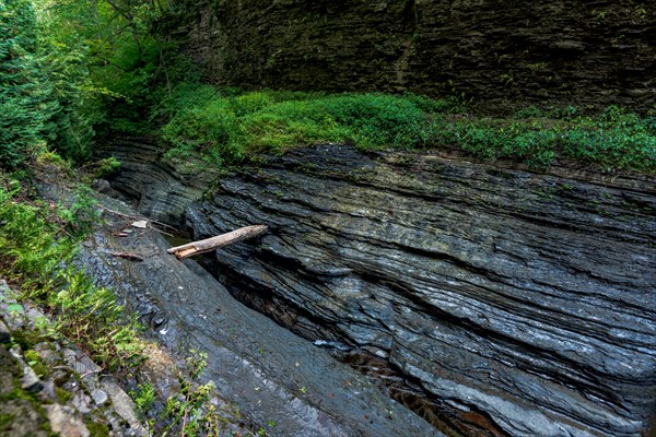 Watkins Glen State Park: Gorge Trail entrance and tunnel