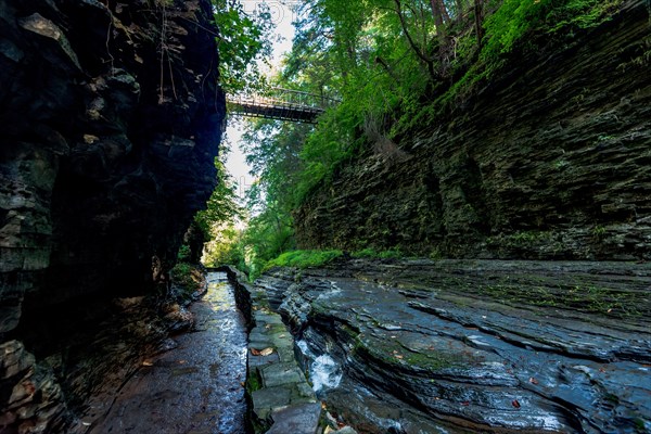 Watkins Glen State Park: Gorge Trail