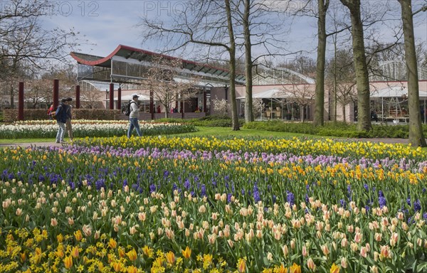 Annual flower show