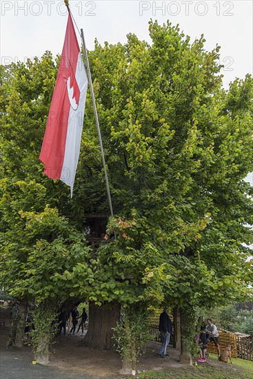 Franconian flag at the historic dance lime tree with dance floor