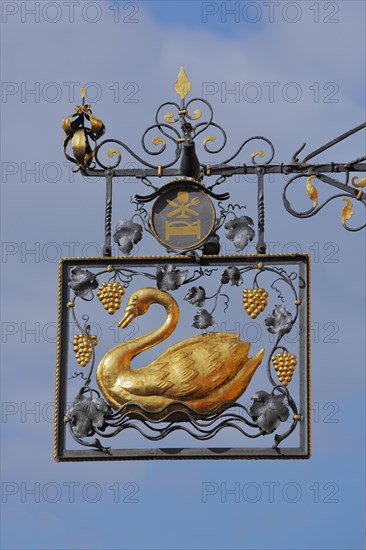 Golden nose sign of the restaurant swan