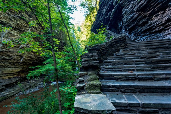 Watkins Glen State Park: Gorge Trail