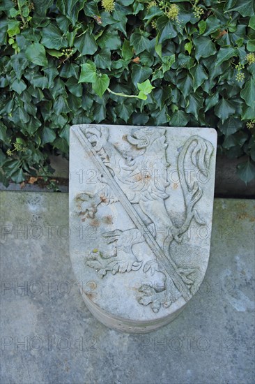 Stone town coat of arms with ivy