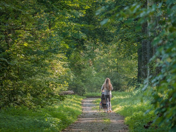 Run fit runner woman jogging in green summer forest woods park