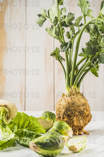Close up celery brussels sprouts turnip marble surface