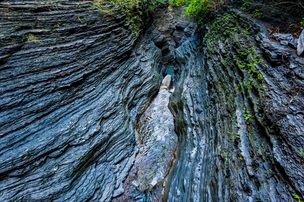 Watkins Glen State Park: Gorge Trail entrance and tunnel