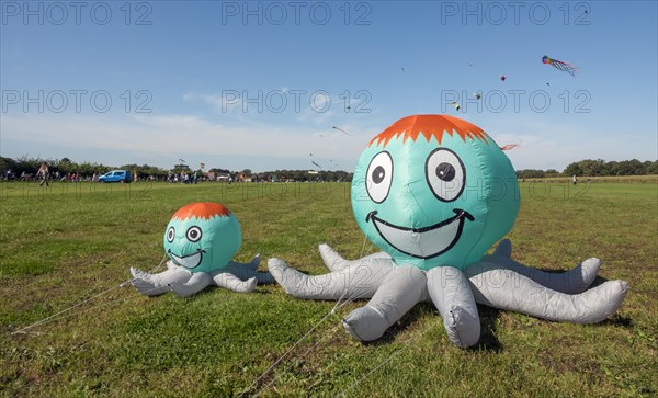 Kites at the Kite Festival