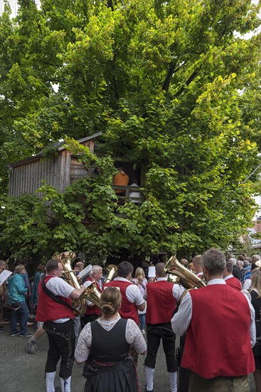 Brass band in front of the dance lime tree at the traditional dance lime tree festival