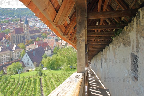 Castle steps and townscape with Gothic town church