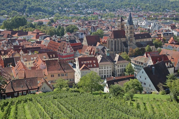 Townscape with Old Town Hall and Gothic Town Church of St. Dionys with twin towers