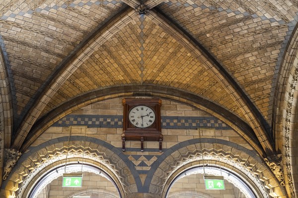 Cross-ribbed vault