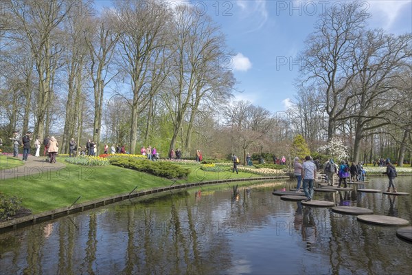 Annual flower show