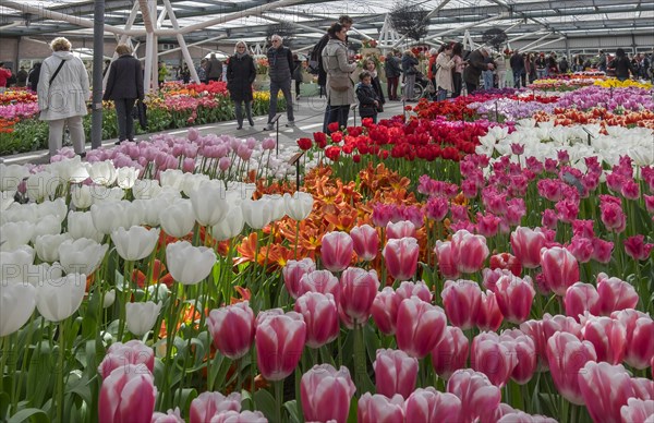 Annual flower show