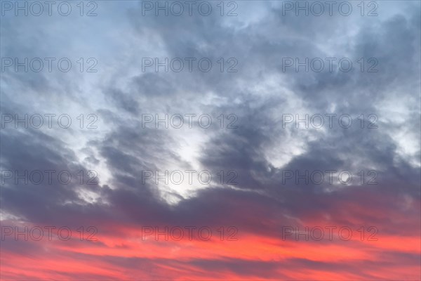 In the lower third of the photo coloured red evening sky at dusk with red veil clouds Cirrostratus