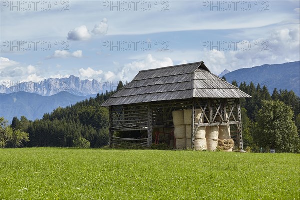 Harp for hay