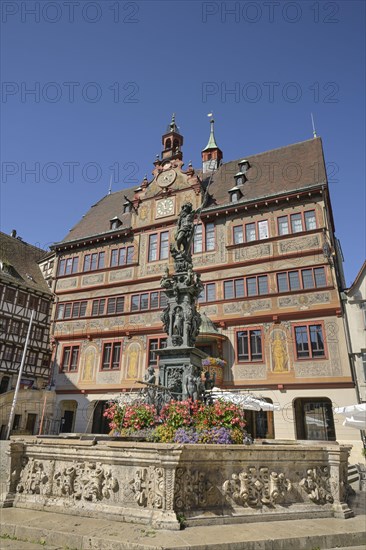 Neptune Fountain