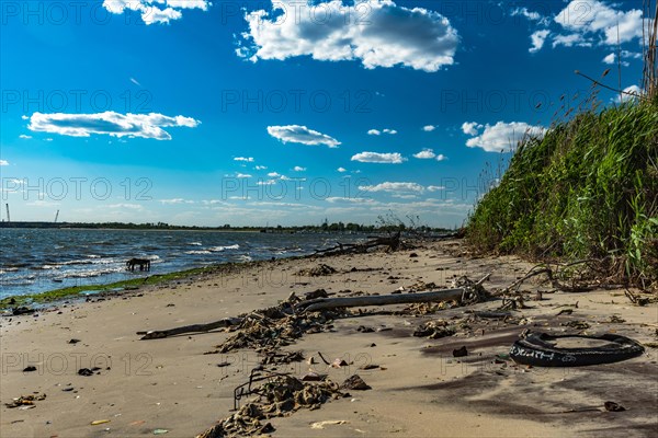 The Barren Island shore on the side of the Dead Horse Bay