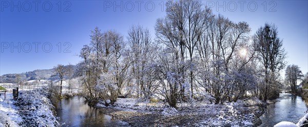 Winter trees on the Elz river in Winden im Elztal
