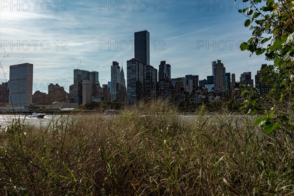 Roosevelt Island and Franklin D. Roosevelt Four Freedoms Park