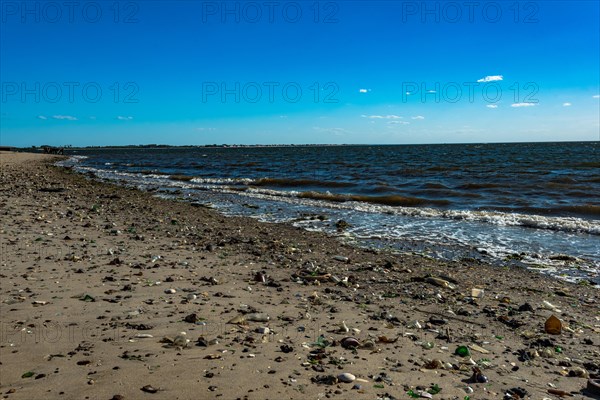 The Barren Island shore on the side of the Dead Horse Bay