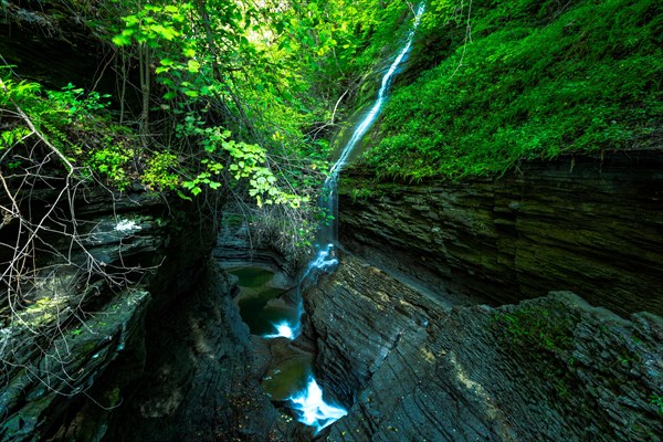 Watkins Glen State Park: Gorge Trail