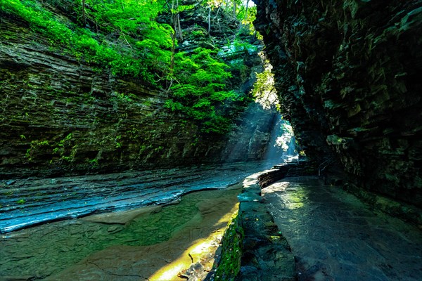 Watkins Glen State Park: Gorge Trail