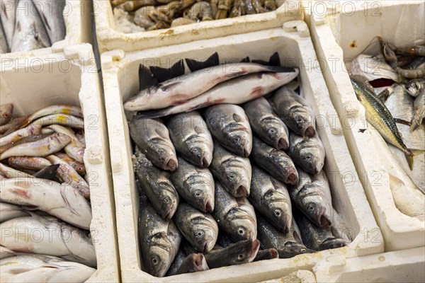 Kusadasi fish market