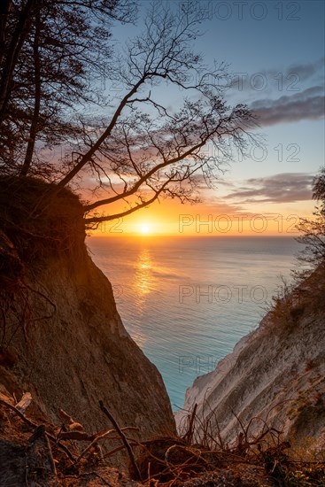 Sunrise at the chalk cliffs Moens Klint